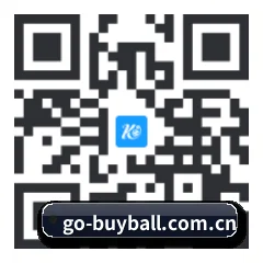 iOS 系统版 二维码